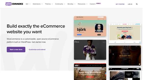 woocommerce websites.